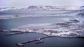 Denmark better keep an eye on ‘unpredictable’ US as Russia only wants stability in the Arctic – study