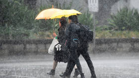 VÍDEOS capturam vacas brincando e saturam Sydney enquanto a chuva traz alívio ao sudeste da Austrália