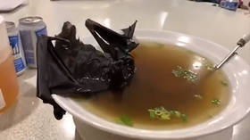 Did patient zero really catch new Chinese virus by eating infected bat soup? It’s actually perfectly possible
