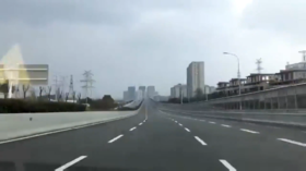 Ukraine’s ex-prosecutor who led Burisma investigation demands criminal probe of Biden