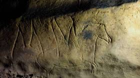 Ancient carvings of scores of animals unearthed in Spanish cave (PHOTOS, VIDEOS)