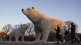 Russia rapidly recovered from sanctions & drop in oil prices – British investment trust