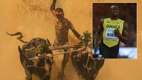 Usain Bolt’s buffalo-racing rival: Humble Indian worker ‘completes 100m course FASTER than world record holder’