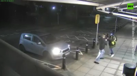 Slavoj Zizek: What the coronavirus & France protests have in common (and is it time for ORGIES yet?)