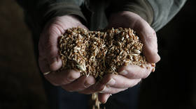 Russia projected to retain crown as world’s top wheat exporter for third year in a row