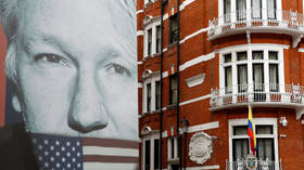 Assange lawyer brings up claim US mulled ‘kidnapping and poisoning’ of publisher – here’s what we know