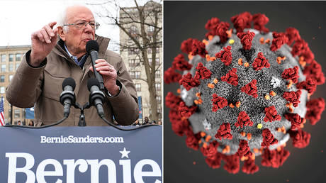 (L)Bernie Sanders © Reuters / Jonathan Ernst; (R) illustrative image of the coronavirus created at the Centers for Disease Control and Prevention © CDC