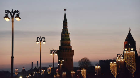 Russia to reassess government budget taking into account coronavirus risks