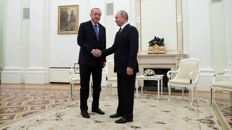 Turkish-Russian ties in defense & trade at highest level, Erdogan says as he meets Putin