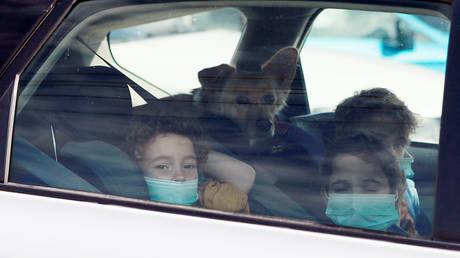 FILE PHOTO. A dog and children wearing masks are seen through a car window, March 2020