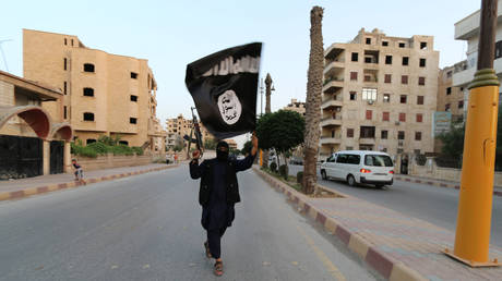 FILE PHOTO: A member loyal to the Islamic State in Iraq and the Levant (ISIL) waves an ISIL flag in Raqqa June 29, 2014
