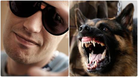 Coronacrazy? Quarantined rapper cheers as his German shepherd GNAWS on retriever in sickening livestream (VIDEO)