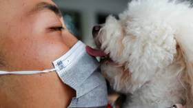 Man’s sick friend: First reported case of human-to-animal transmission suggests people can infect dogs with Covid-19
