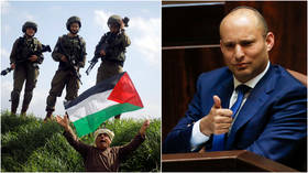 HACKED Israeli Defense Minister demands ‘freedom for Palestine,’ tweets out Turkey’s anthem