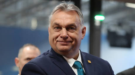 Hungary's Prime Minister Viktor Orban © Pool via REUTERS / Ludovic Marin