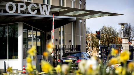 &lsquo;False and fabricated&rsquo;: Syria slams OPCW report blaming it for 2017 chemical weapons attacks