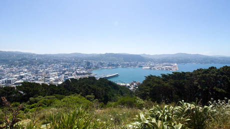 FILE PHOTO: Aerial view of Wellington, New Zealand © Getty Images / Smith Collection / Gado