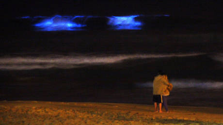 WATCH: Surfer rides ethereal GLOWING WAVES thanks to bioluminescent algae