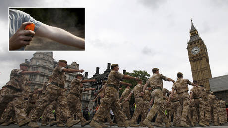 Questions raised as UK Ministry of Defence tests if insect repellent can KILL Covid-19