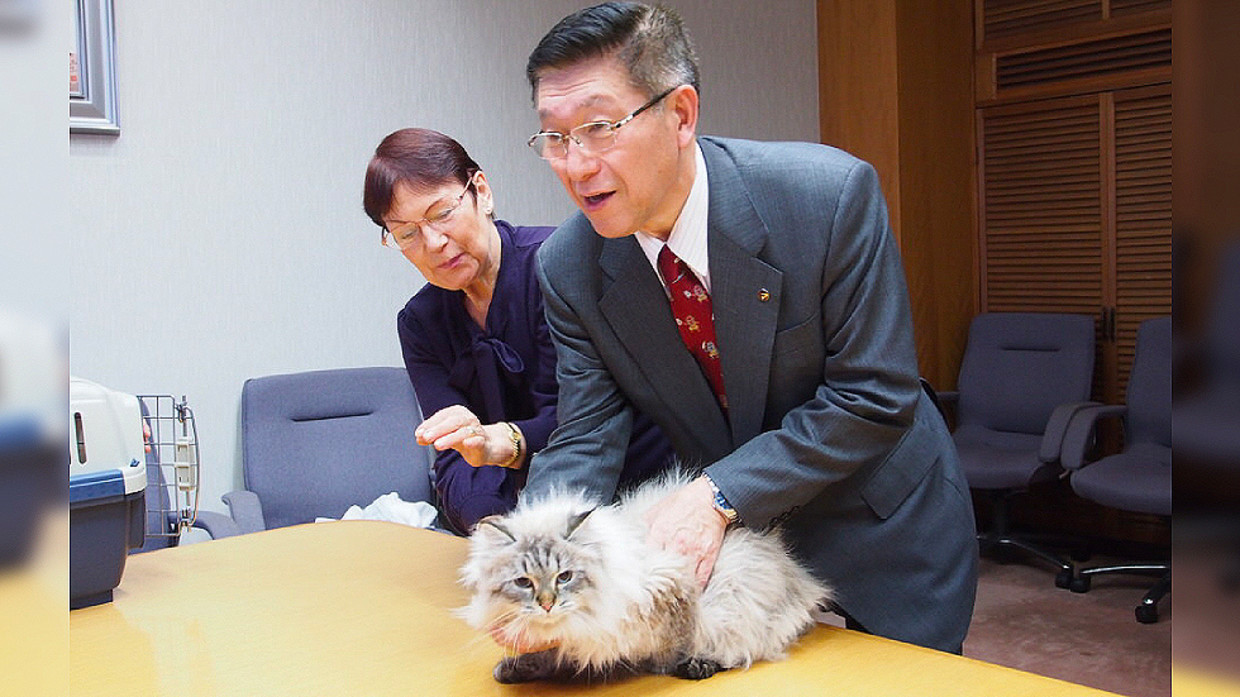 Russia’s Cat Gift to Japan Quarantined