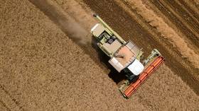 Do Russian grain export limits threaten global food security?