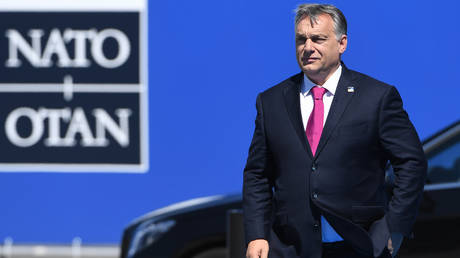 Hungary's Prime Minister Viktor Orban arrives for the NATO summit at the NATO headquarters, in Brussels, on May 25, 2017 ©
AFP / Emmanuel Dunand