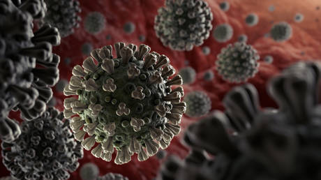 FILE PHOTO: Microscopic illustration of the spreading 2019 coronavirus that was discovered in Wuhan, China © Getty Images / fpm