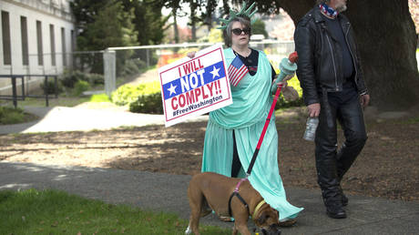 Lady Liberty: not a fan of lockdowns © AFP / Karen Ducey