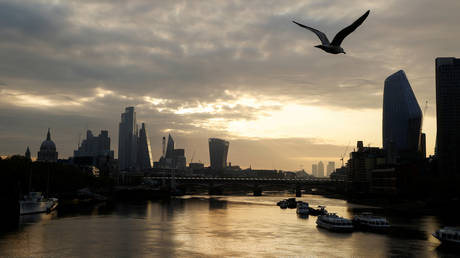 UK to introduce 14-day quarantine ‘for almost all’ intl arrivals from June 8 – interior minister
