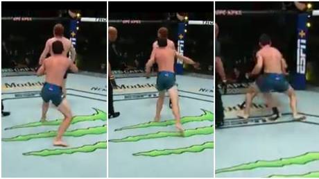 Sucker punch: UFC fighter Spike Carlyle gets DROPPED after turning back on opponent & mistakenly thinking round was over (VIDEO)