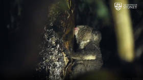 Banning the conspiracist David Icke is WRONG & actually strengthens his case that we’re sleepwalking towards DICTATORSHIP