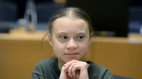 An NHS trust is hiring a climate-change manager amid a pandemic – so should we clap for Greta too?