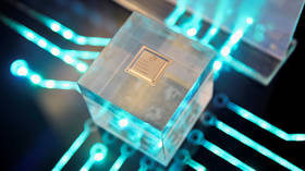 Tomb of jewelry-clad Iron Age ‘PRINCESS’ unearthed in France (PHOTOS)