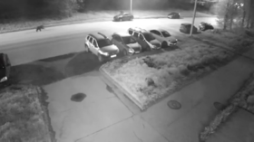 Tomb of jewelry-clad Iron Age ‘PRINCESS’ unearthed in France (PHOTOS)