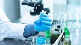 Scientists in Brazil make faster, cheaper RNA coronavirus test that doesn’t produce false negatives