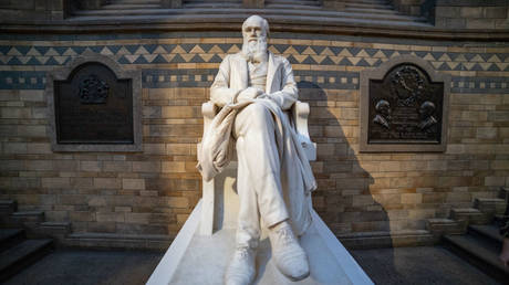 Charles Darwin statue in the main hall of the Natural History Museum in South Kensington in London, UK © NurPhoto via Getty Images / Nicolas Economou