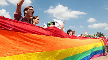 FILE PHOTO Participants in the LGBT community support rally on the Champ de Mars in St. Petersburg, 2013 © Sputnik / Anatoly Medved