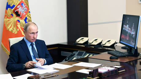 Russia's President Vladimir Putin takes part in a video conference call on June 20, 2020.