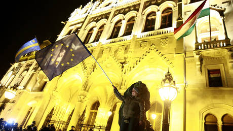 FILE PHOTO: A protester waves a EU flag outside the parliament building in Budapest, December 16, 2014