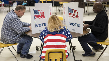 FILE PHOTO: Voters fill in their ballots for the Democratic presidential primary election at a polling place in Armstrong Elementary School on Super Tuesday, March 3, 2020 in Herndon, Virginia