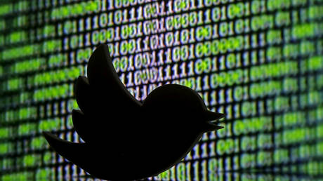 FILE PHOTO: A 3D printed Twitter logo is seen in front of a displayed cyber code in this illustration taken March 22, 2016 © Reuters / Dado Ruvic