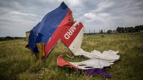 FILE PHOTO: The debris from the crashed MH17 flight near the town of Shakhtyorsk. © Sputnik / Andrey Stenin