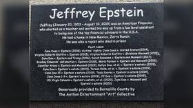 ‘How will people learn?’ Statue of sexual predator Jeffrey Epstein briefly installed in New Mexico