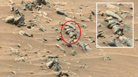 UFO 사냥꾼, NASA 화성 사진 '고대 외계인 제트 엔진'(POLL)