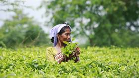 Agriculture will lead India’s economic revival from coronavirus pandemic – finance minister