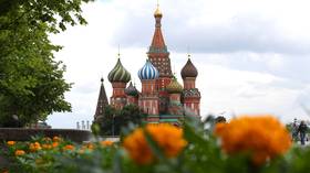 Russia has enough reserves to cope with Covid-19 crisis – PM Mishustin