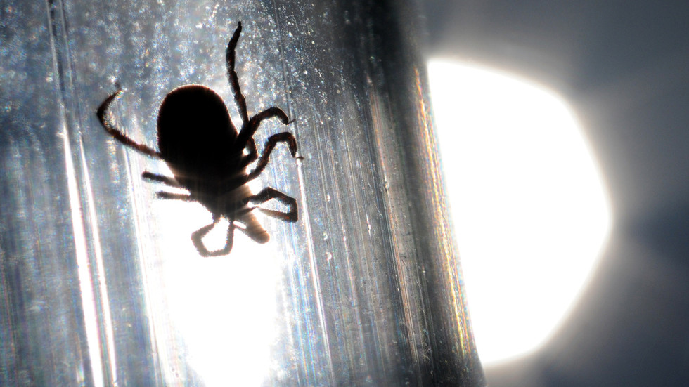 Doctors sound alarm as deadly tick-borne virus re-emerges in China, kills 7 so far