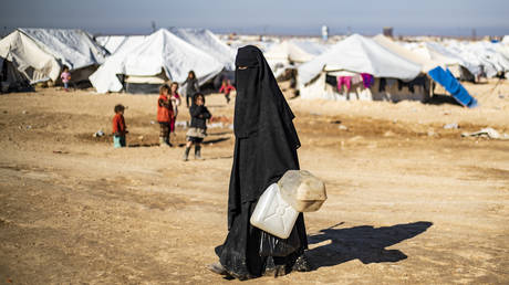 An Al-Hol refugee camp, 2020 © AFP / DELIL SOULEIMAN