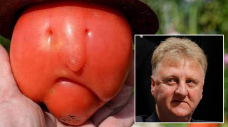 Twitter's tomato of confusion and NBA legend Larry Bird © Twitter / bingowings14 | © Brian Snyder / Reuters