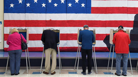 FILE PHOTO: People vote at Robious Elementary School on Tuesday November 05, 2019 in Midlothian, VA